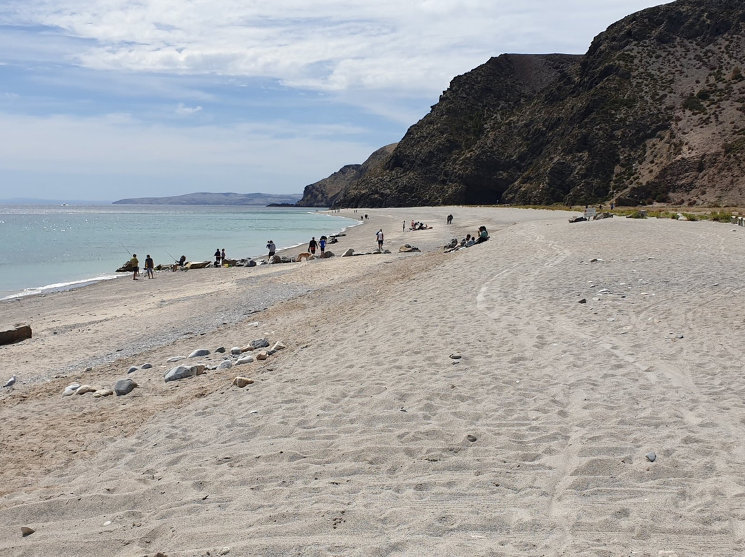 Rapid Bay Jetty景点图片