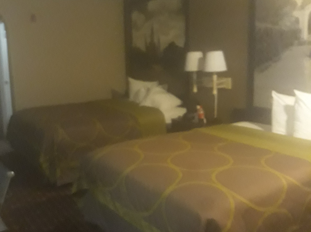 Super 8 by Wyndham Lake Charles Northeast主图