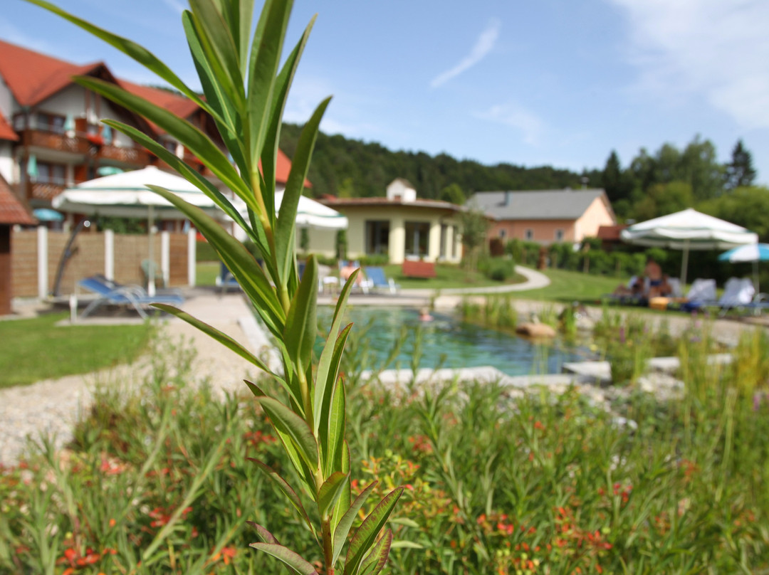 Hotel & Gasthof Zur Linde主图