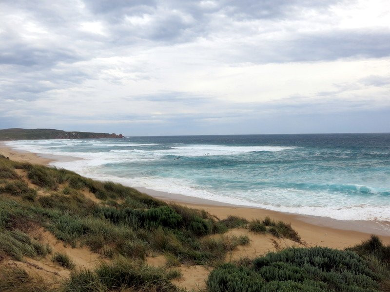 Woolamai Beach-Cape Woolamai必去景点