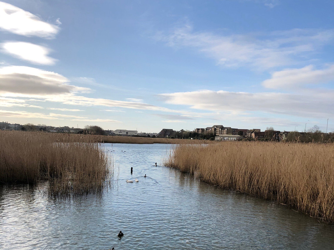 RSPB Weymouth Wetlands at Radipole Lake Nature Reserve景点图片