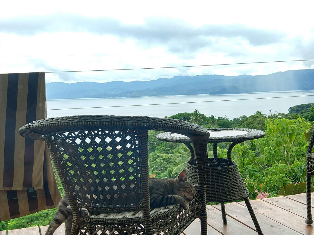 克洛维斯阳光别墅酒店主图