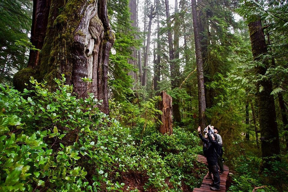 Port Renfrew Adventure Company景点图片