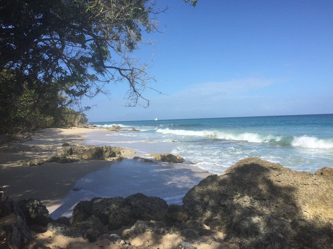 Anse de Mays-Marie-Galante必去景点