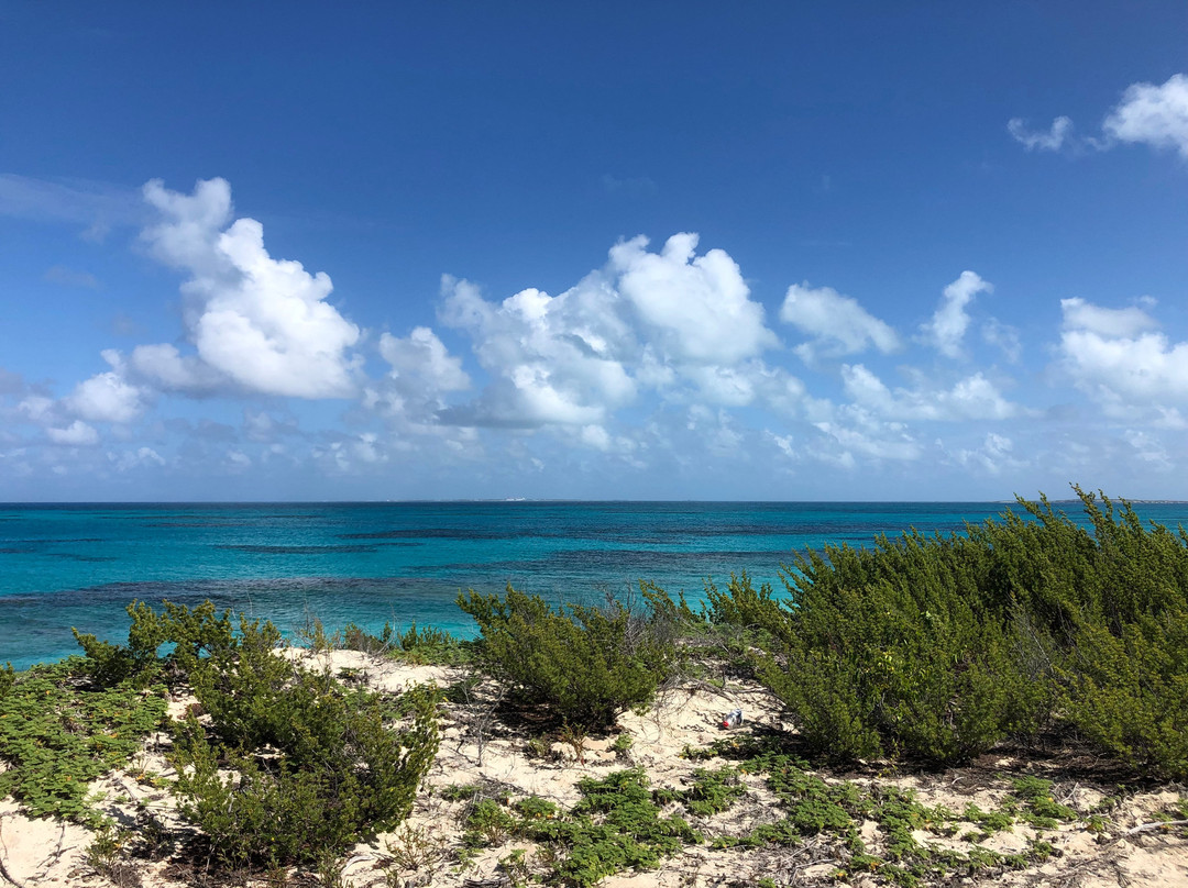 Tradewind Guest Suites on Salt Cay主图