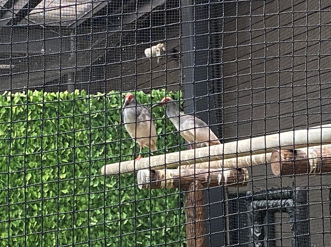 Nagaoka Toki to Shizen no Gakushukan-长冈市必去景点