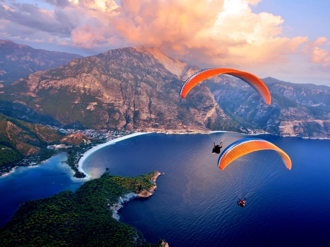 Alibaba Tortuga Travel Agency景点图片