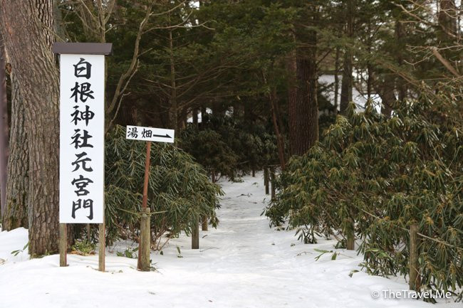 Shirane Shrine景点图片