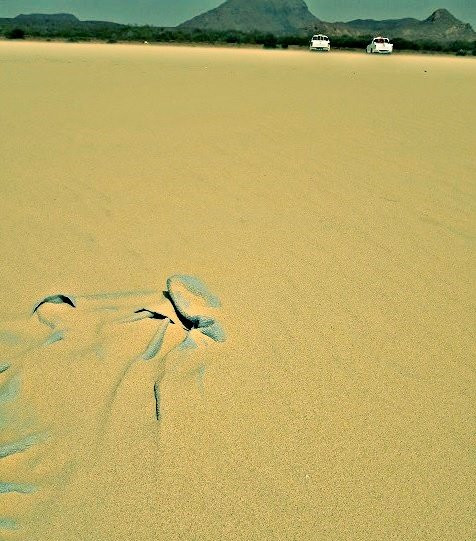 Santa Monica Beach-圣莫尼卡必去景点