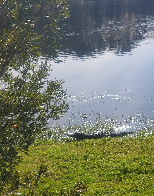 Jarvis Creek Park景点图片