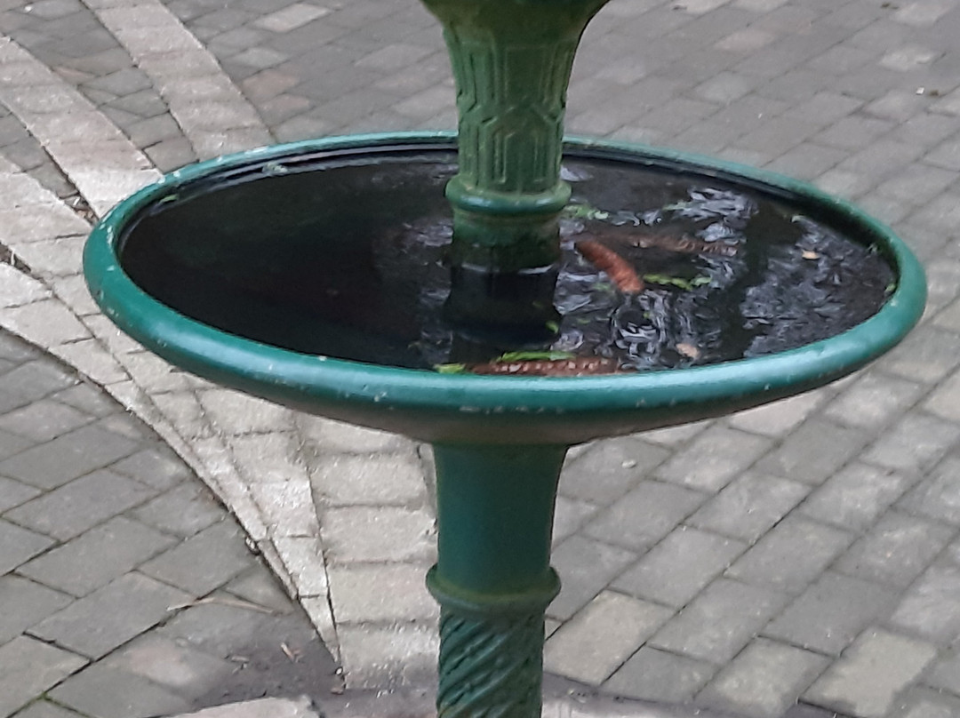 Cwmdonkin Park-斯温西必去景点