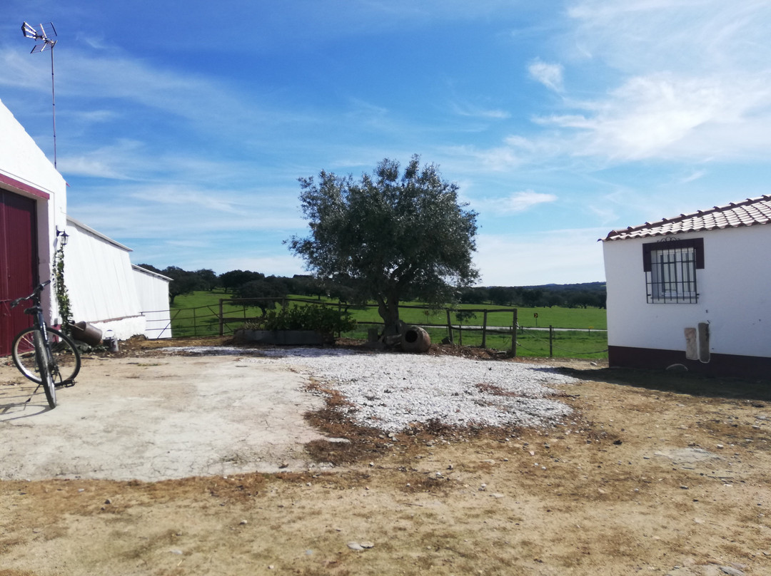 Casas da Faia - Nature Guest House
