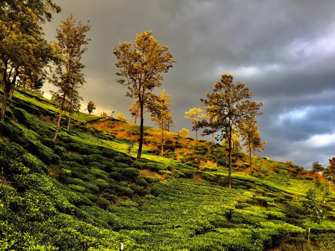 Ayos Hill Adam's Peak主图