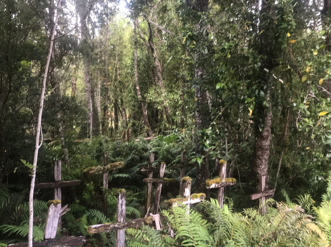 Isla de los Muertos-Tortel必去景点