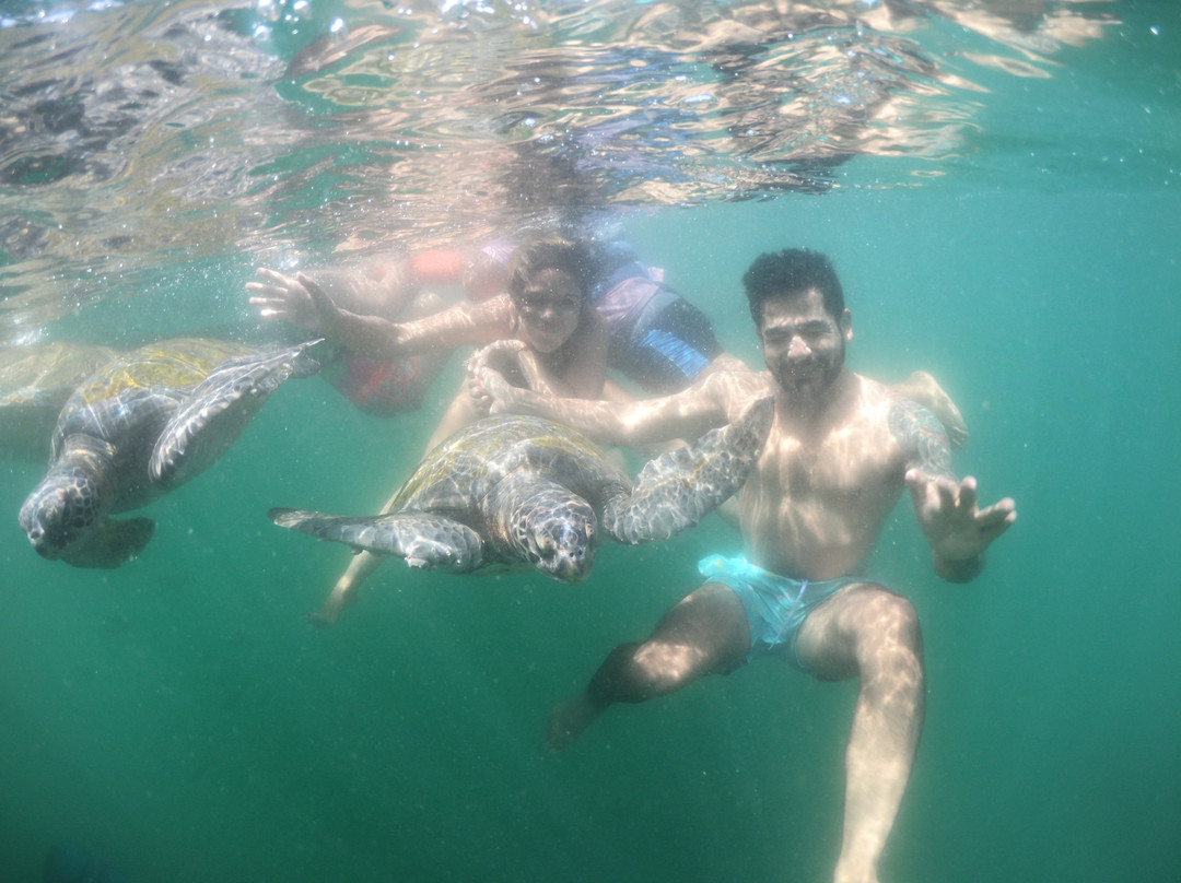 Nadando con Tortugas en El Nuro-Piura必去景点