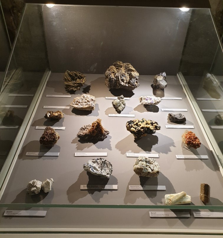 Naturkundemuseum-爱尔福特必去景点