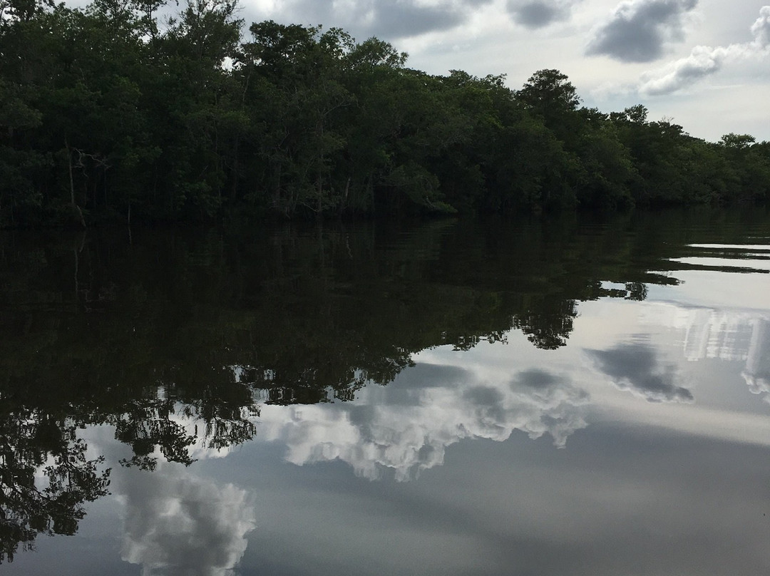 Apalachicola National Estuarine Research Reserve景点图片