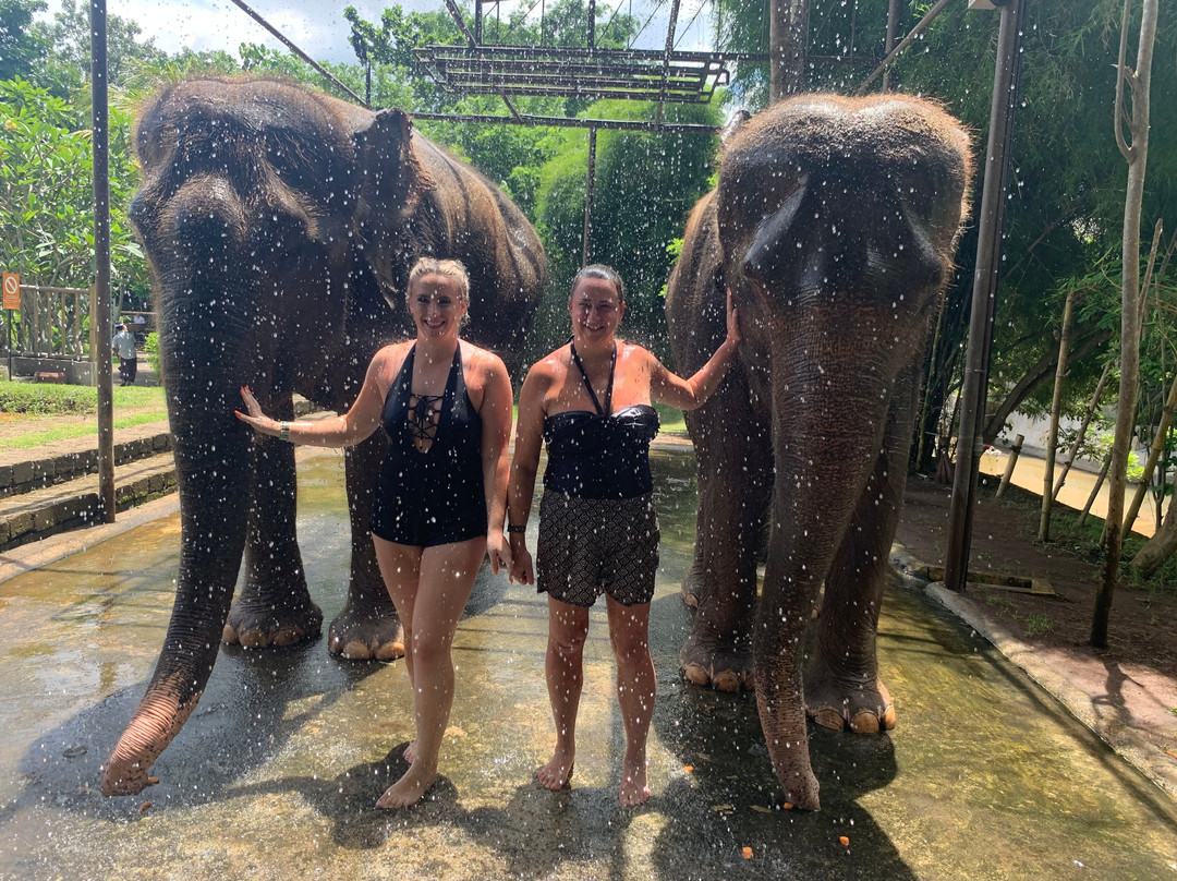 ENJOYKUTA TOURS-登巴萨必去景点