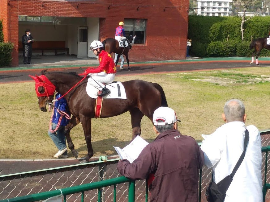 Saga Horse Racetrack-鸟栖市必去景点