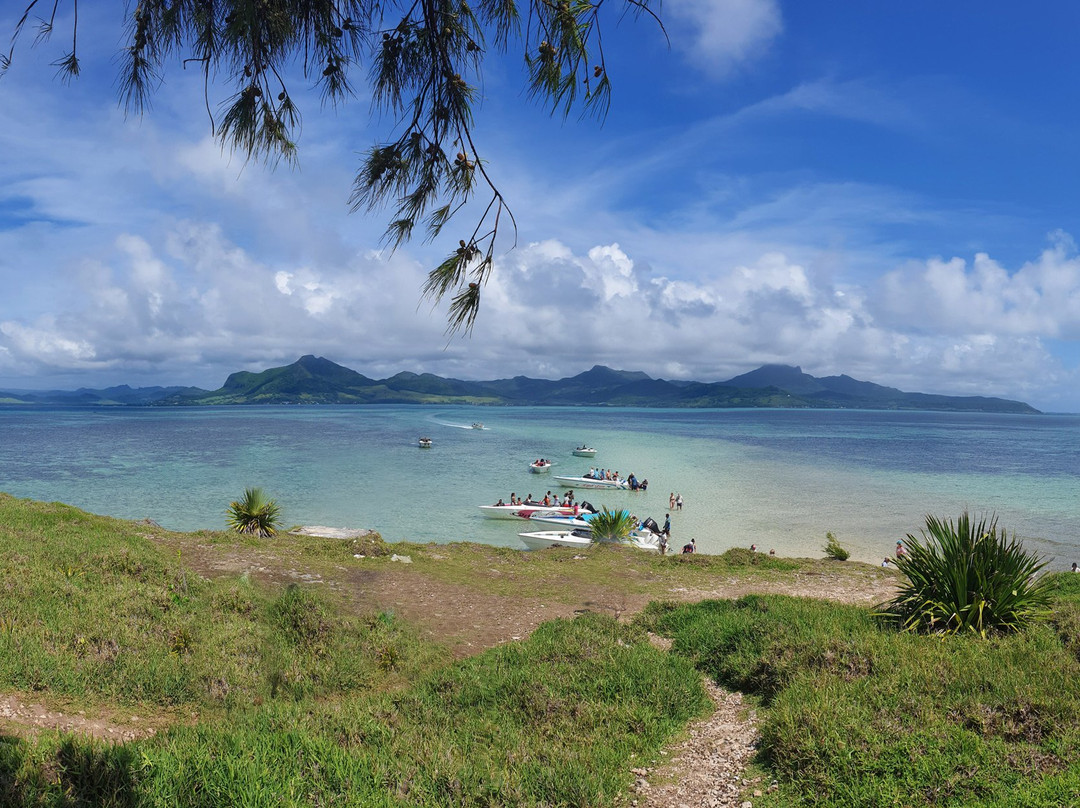 Île du Phare景点图片