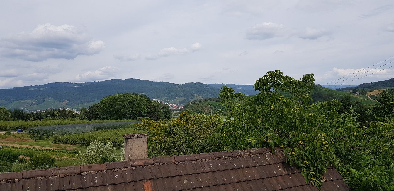 雷比斯道克兰德酒店-官方