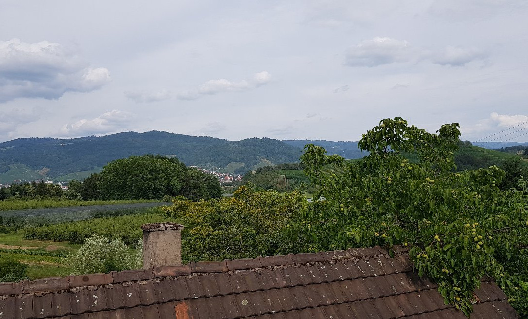 雷比斯道克兰德酒店主图