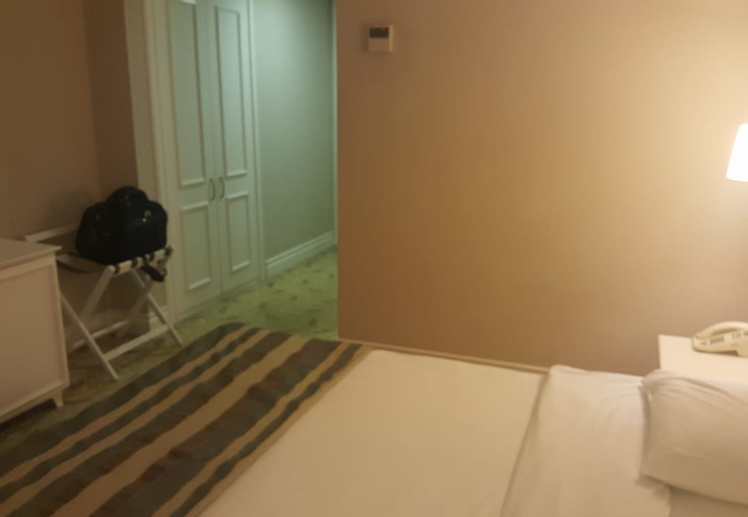 Luxor Garden Hotel主图