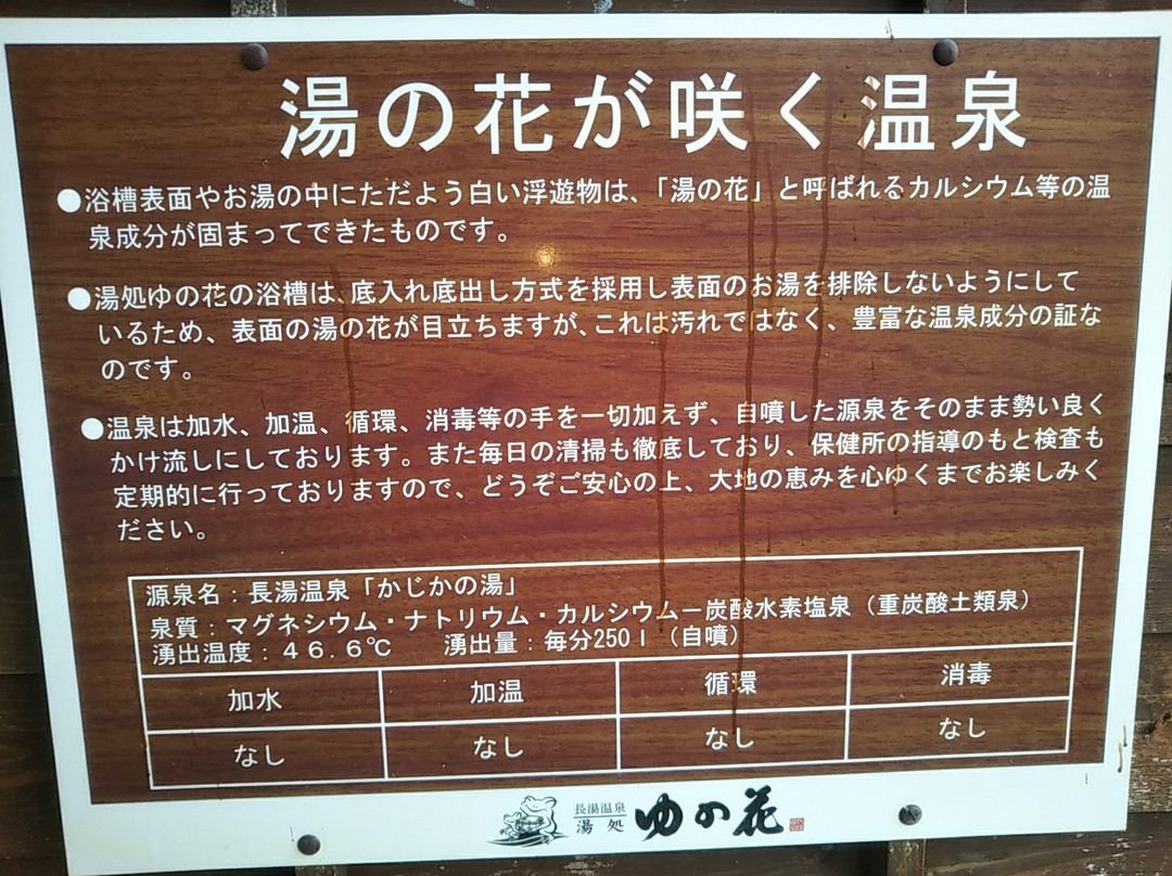 Kajikaan主图