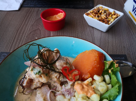 San Borja旅游攻略图片