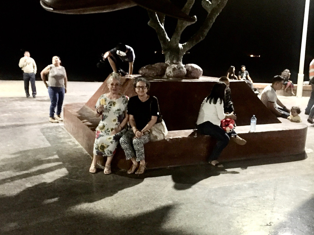 Kiosco del Malecon-拉巴斯必去景点