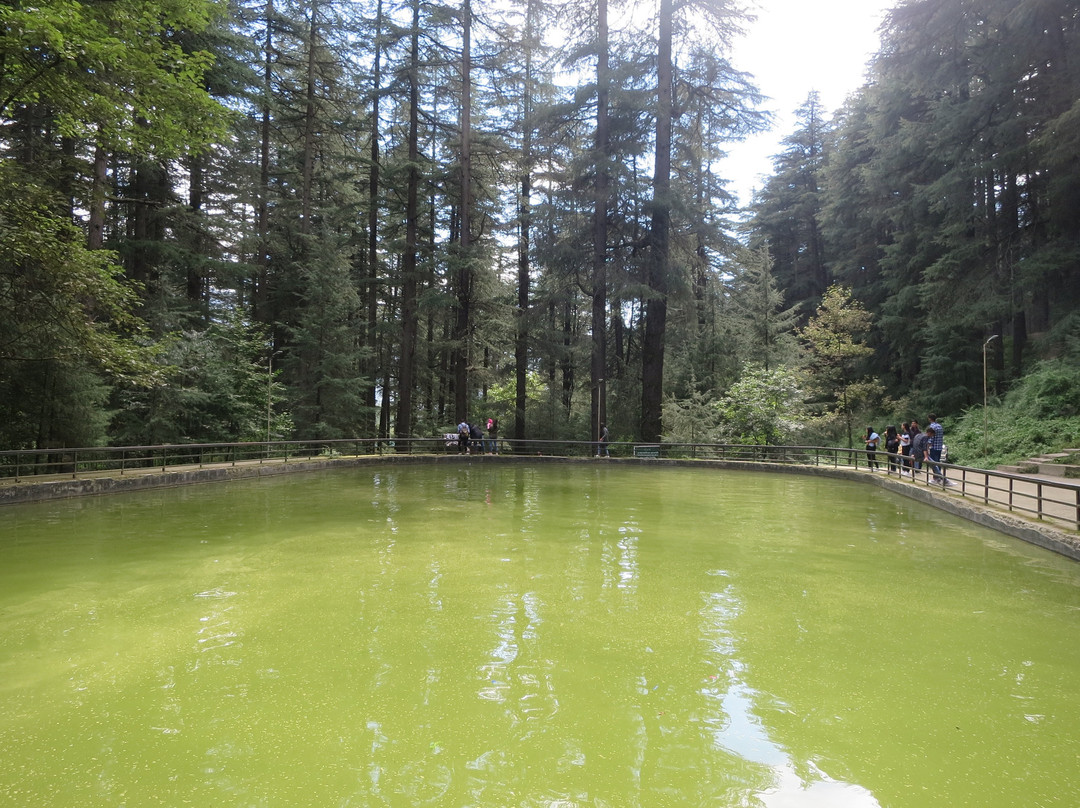 Manali Sanctuary景点图片