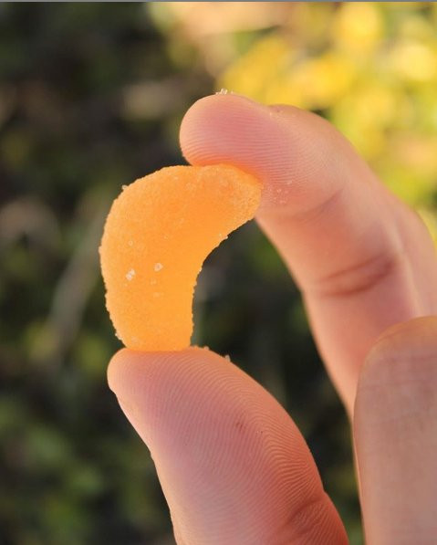 Cura CBD-Mission必去景点