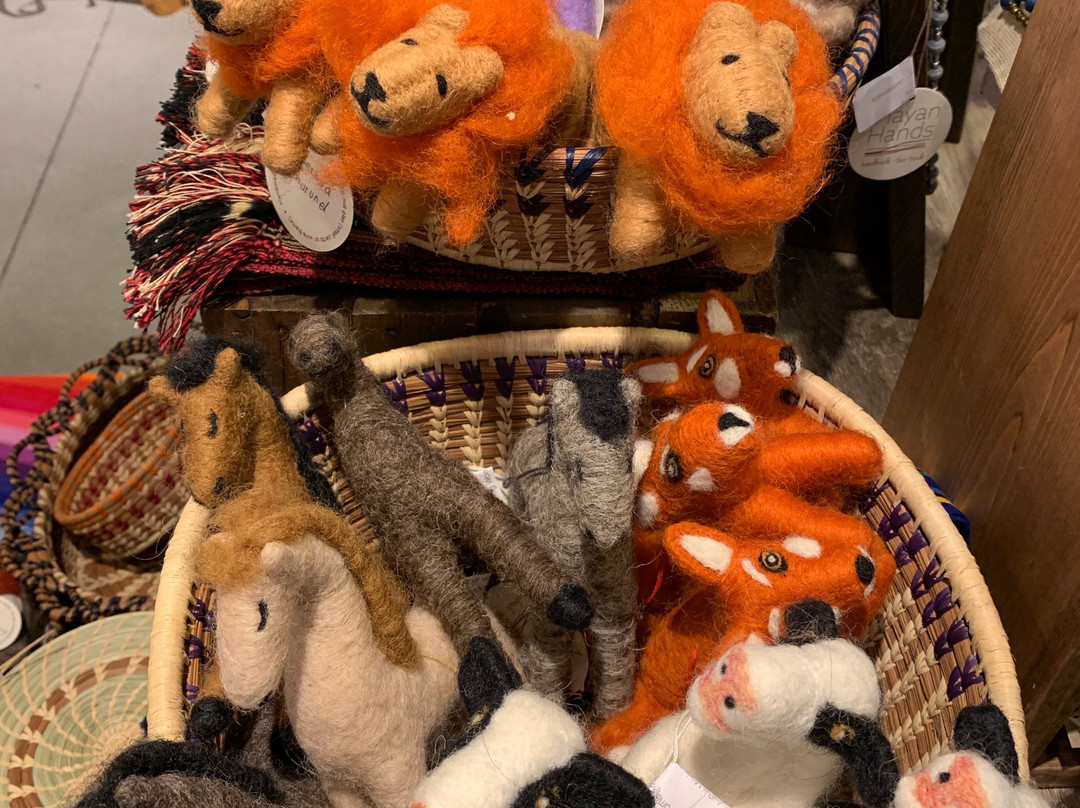 Lotus-索拉纳海滩必去景点