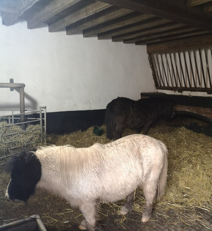 Sandwell Park Farm-西布罗姆维奇必去景点