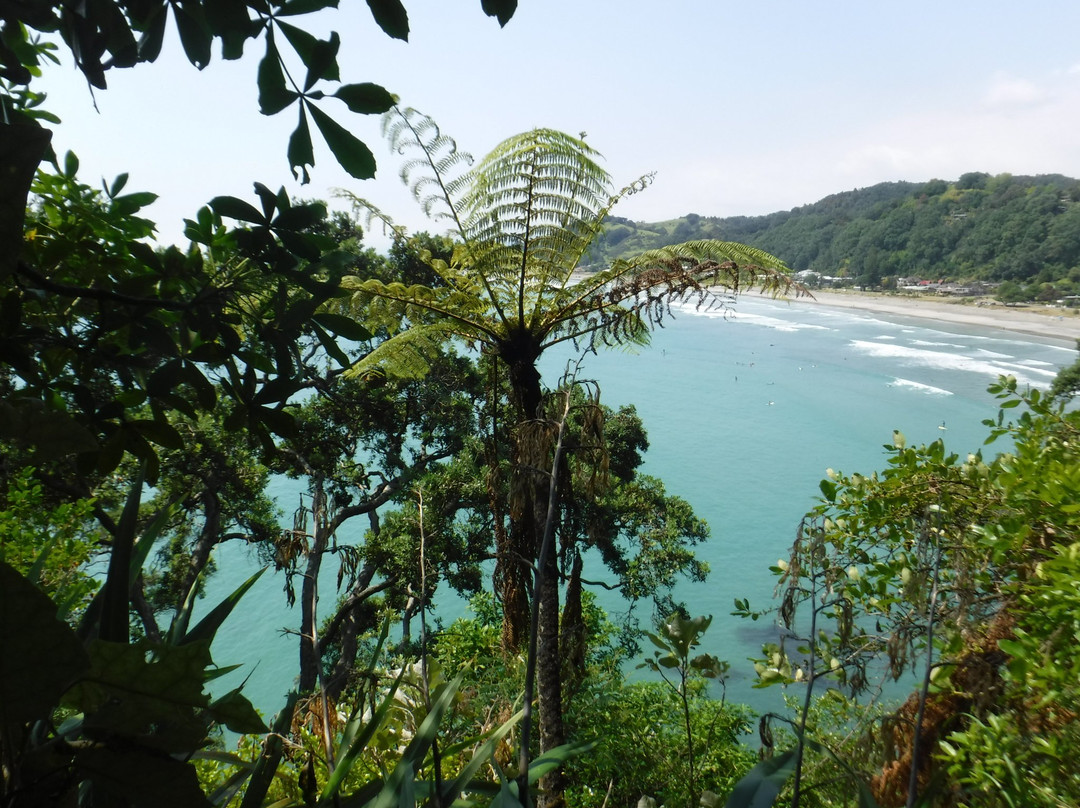 Pauanui Beach景点图片