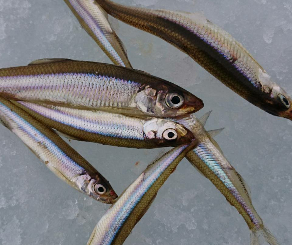 Lake Gando-盛冈市必去景点