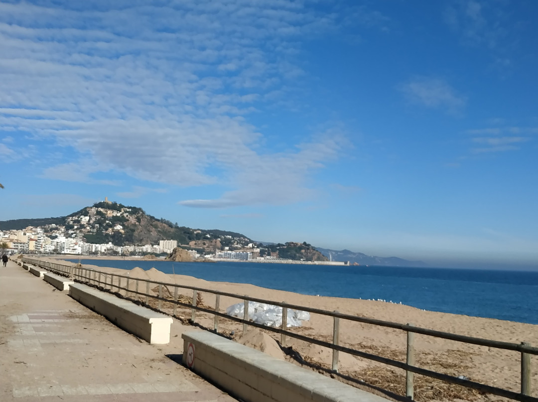 Playa de S'Abanell景点图片