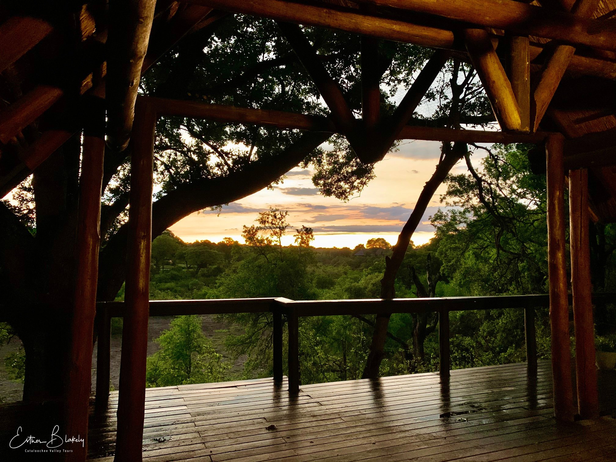 Elephant Plains Game Lodge-酒店景观