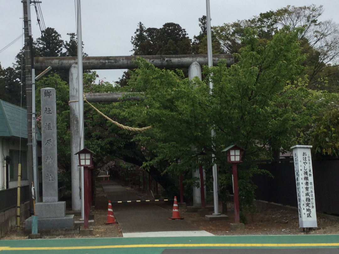 Kashihara Shrine-小山市必去景点