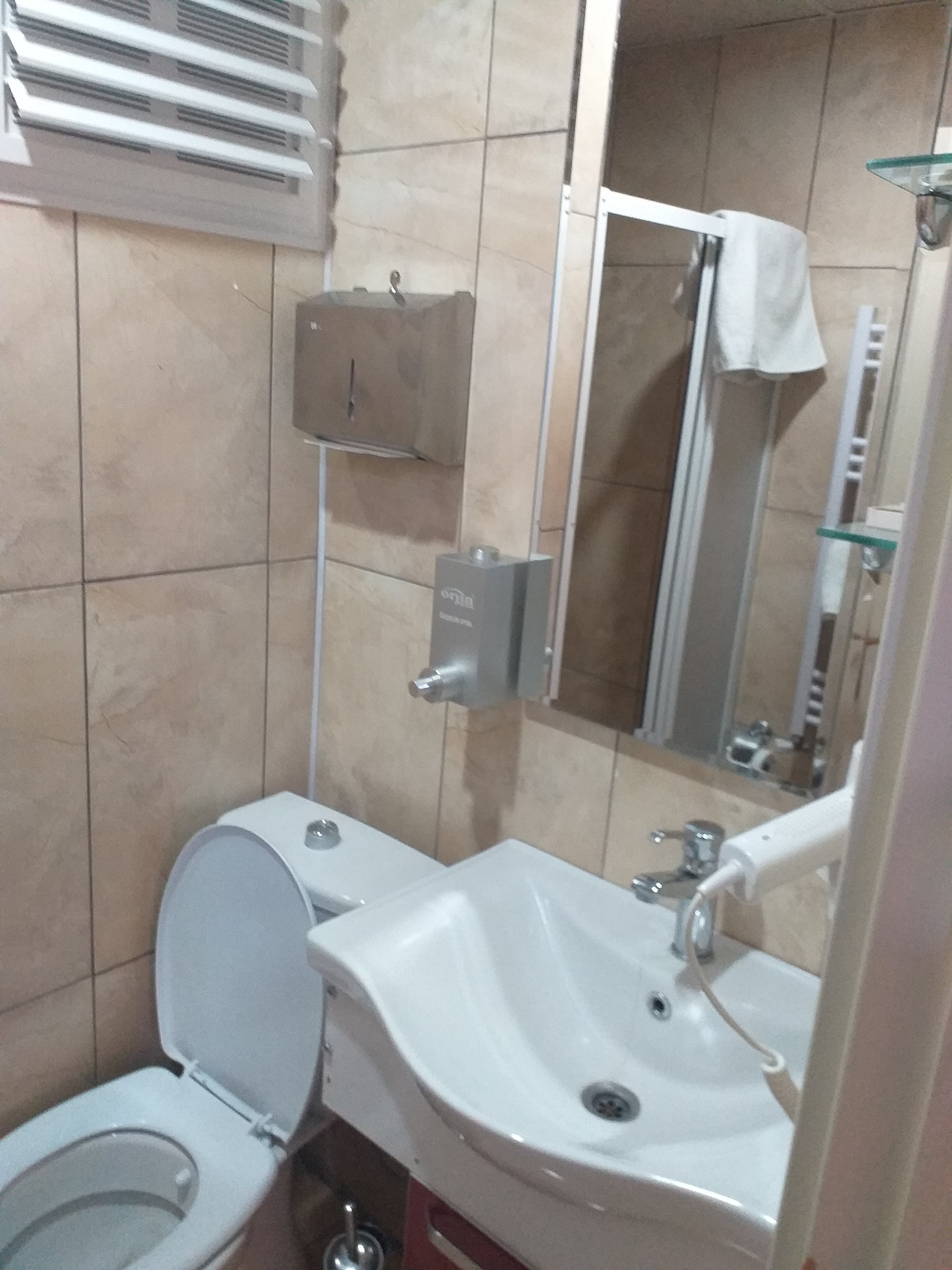 royal özçelik otel-浴室