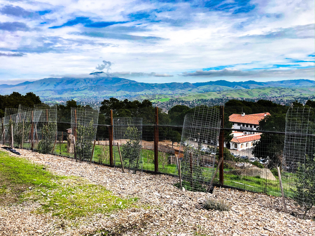 San Damiano Retreat-丹维尔必去景点