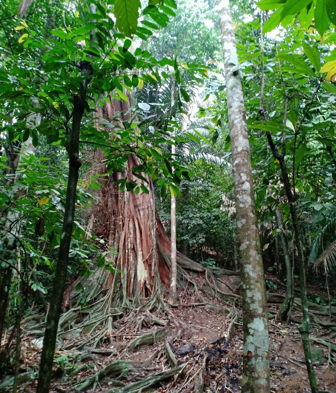 Bukit Mor-Parit Jawa必去景点