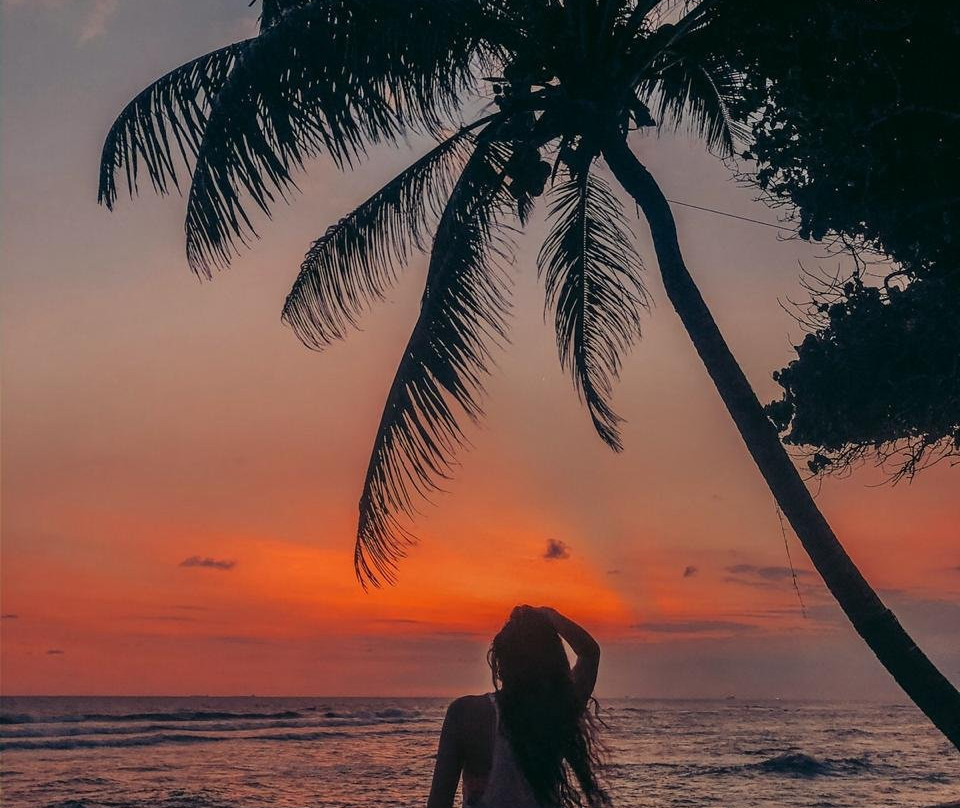 哈密瓜水族主图