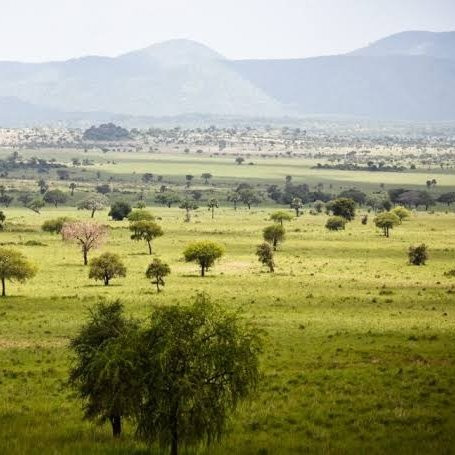 Kidepo Valley National Park景点图片