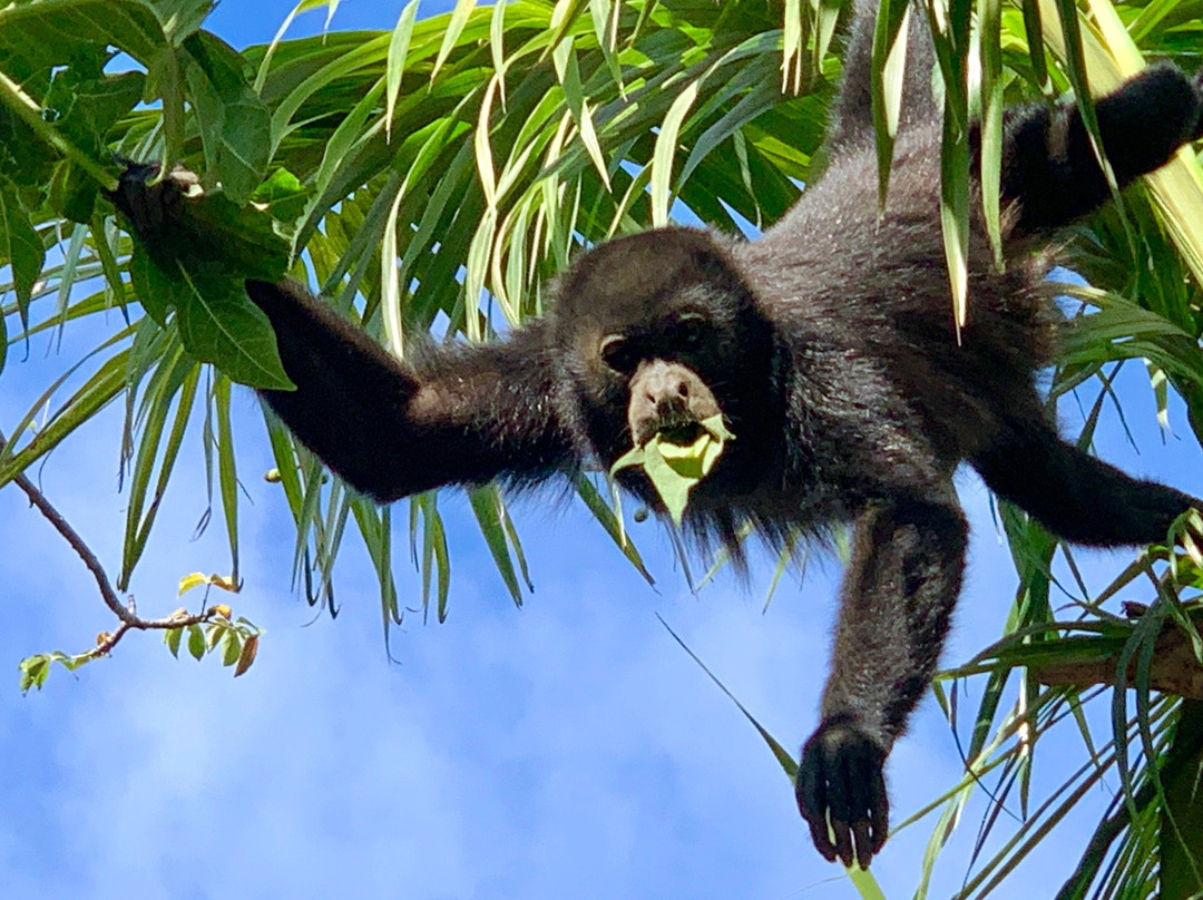 Refugio Del Sol Lodge主图