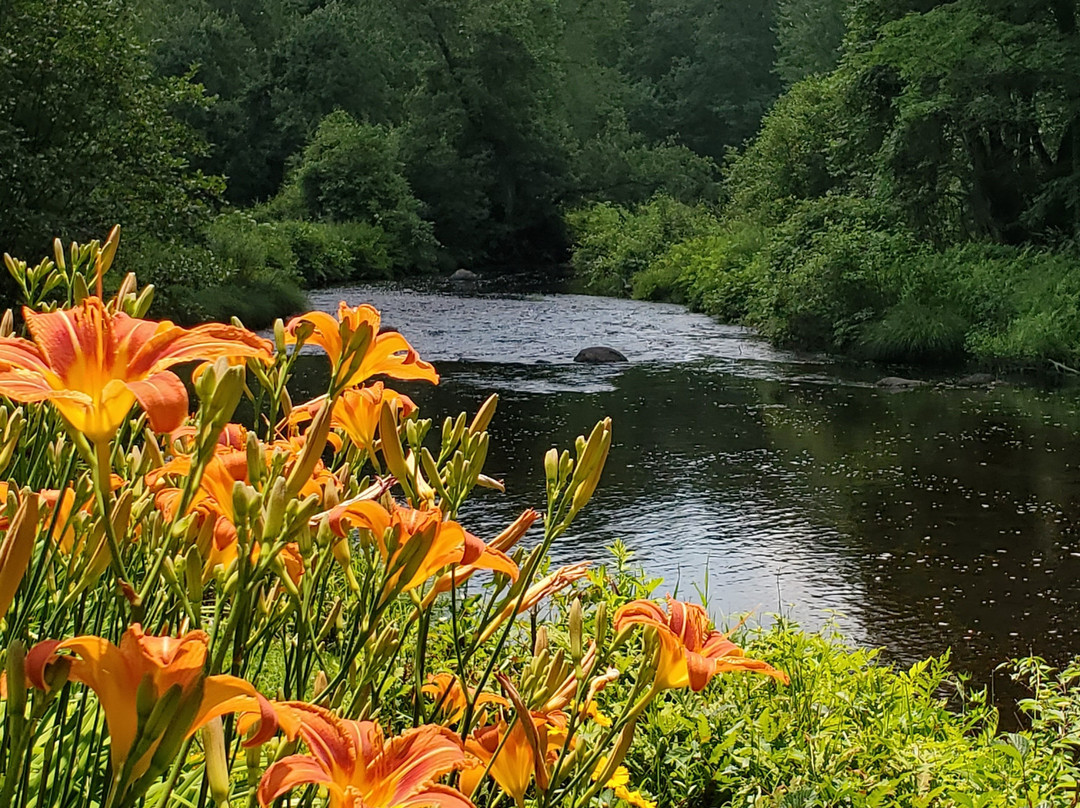 Little River Bed and Breakfast主图