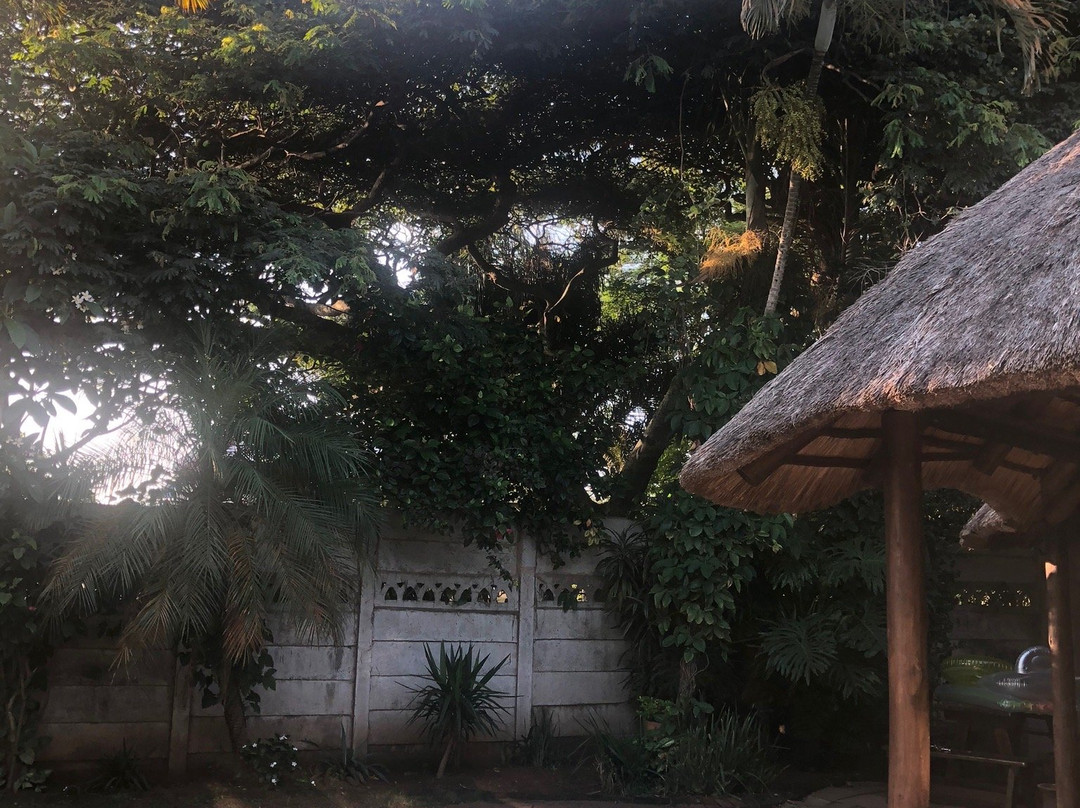 The Elephants Tusk主图