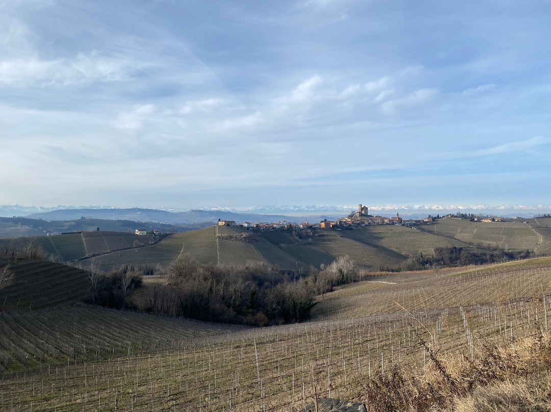 Azienda Agricola Rivetto景点图片