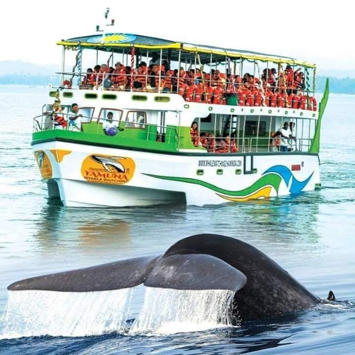 Kanneliya Rain Forest Reserve景点图片