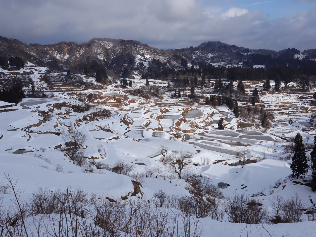 Hoshitoge Rice Terraces景点图片